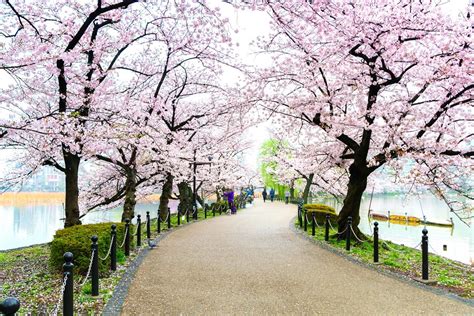 ヘッドスパ 上野：都市の喧騒から解放される至福の時間